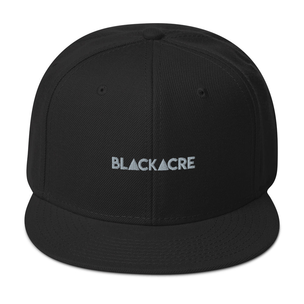 Embroidered Snapback Hat – Citizensofblackacre